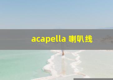 acapella 喇叭线